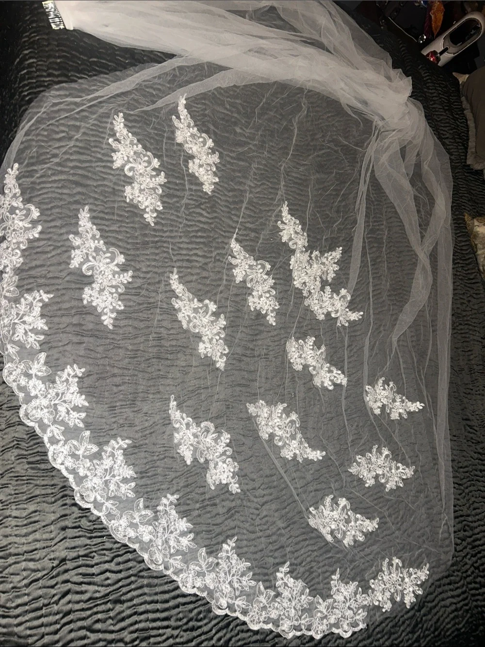 Cathedral Length Lace Bridal Veil with Scalloped Edge